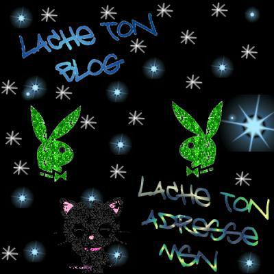 Lache ton blog et ton adresse msn !