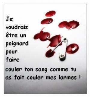Je voudrais être ..........